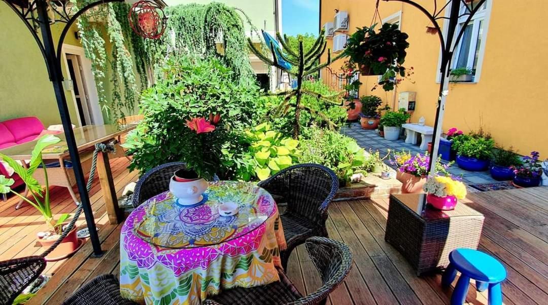 Hostel Sonce Ptuj Esterno foto