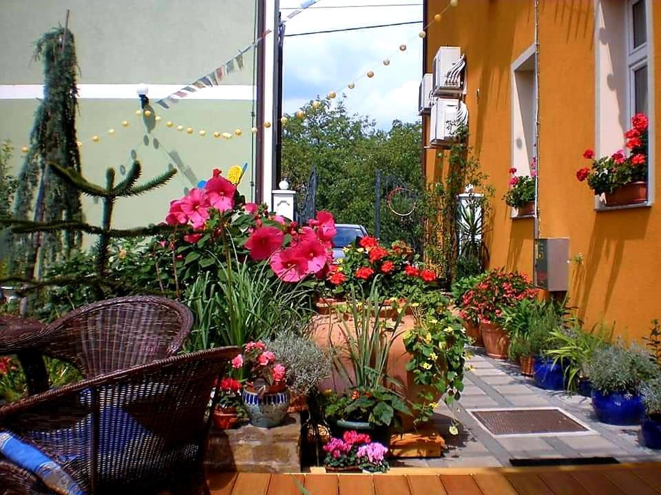 Hostel Sonce Ptuj Esterno foto
