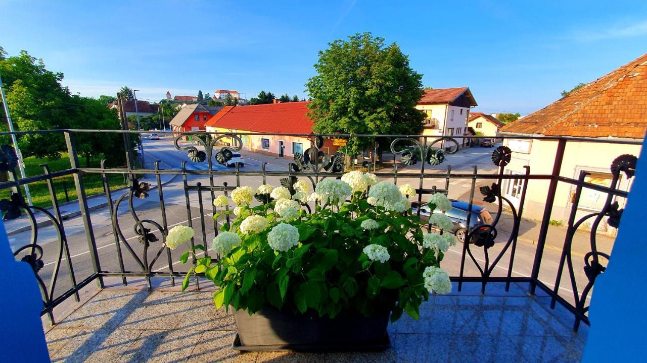 Hostel Sonce Ptuj Esterno foto